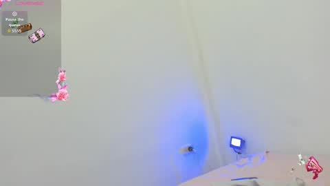 kitty online show from October 8, 2025, 9:23 pm