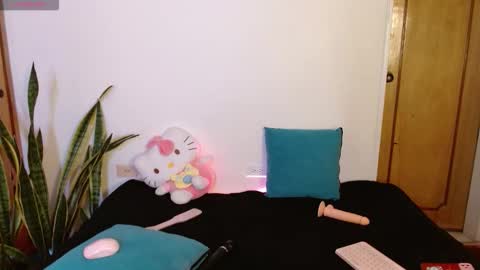 Snapshot of kittycatw chatting on December 17, 2025, 9:21 pm LAURA help me reach 100likes online show from December 17, 2025, 9:21 pm