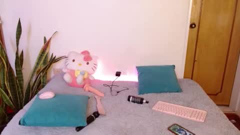 Snapshot of kittycatw chatting on February 10, 2026, 5:55 am LAURA help me reach 100likes online show from February 10, 2026, 5:55 am