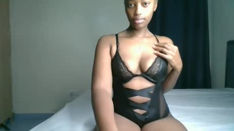 Kittypettite online show from April 21, 2026, 7:47 am