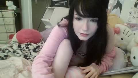 kittypills online show from June 8, 2026, 5:30 am