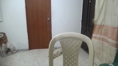 kity boobsx online show from January 15, 2025, 1:45 am