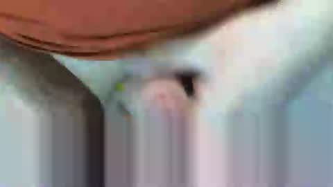 klok8230 online show from February 15, 2026, 8:27 pm