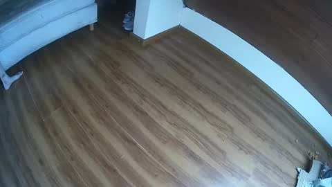 Klowrash online show from January 30, 2025, 5:28 pm