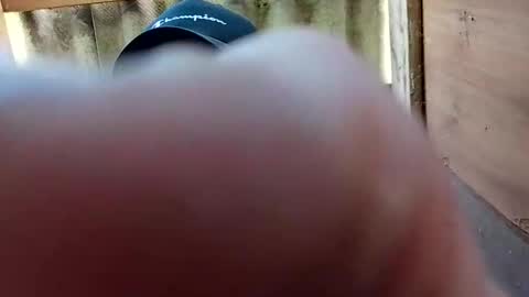 kocsispista03 online show from April 25, 2026, 10:07 am