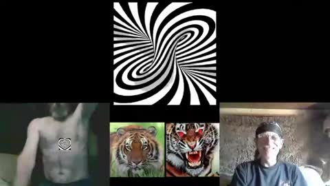Snapshot of kodiakpm1 chatting on April 30, 2026, 8:15 pm kodiakpm1 online show from April 30, 2026, 8:15 pm