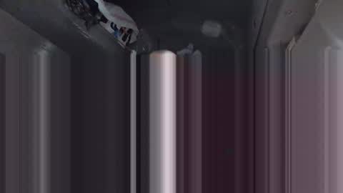 Bogdan online show from February 26, 2025, 1:41 pm