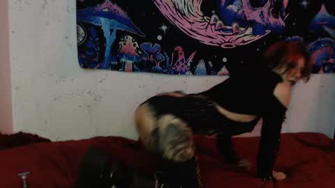 konekokawai online show from February 8, 2025, 7:38 pm