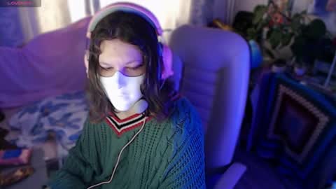 fancy cat online show from December 1, 2025, 8:19 am