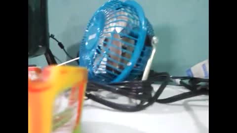 Koto Bombon online show from December 31, 2024, 3:01 am