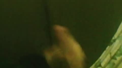 kren565656 online show from December 29, 2024, 1:34 am