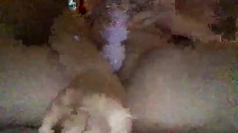 kylie online show from February 27, 2026, 3:06 am