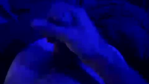 Snapshot of kyool chatting on July 25, 2026, 8:34 am kyool online show from July 25, 2026, 8:34 am