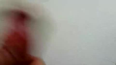 l0cean online show from February 26, 2026, 3:16 am