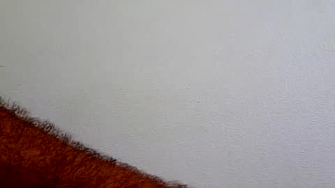 l0cean online show from July 22, 2026, 2:47 am