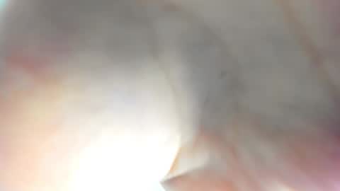 Ameli online show from November 15, 2025, 8:00 am