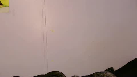 Lily online show from May 5, 2026, 9:17 am