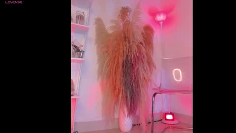 Colorina  online show from January 12, 2026, 11:04 am