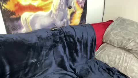 Lacy8Vankort online show from February 8, 2025, 8:53 pm