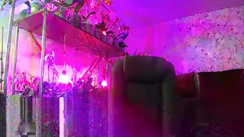 Lady Gloria online show from February 15, 2025, 12:54 pm