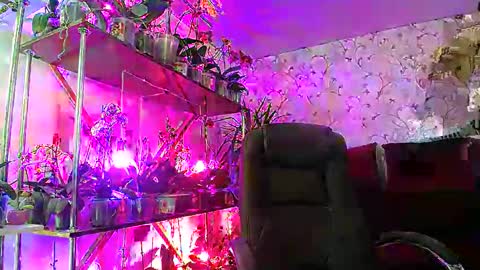 Lady Gloria online show from February 22, 2025, 8:40 am