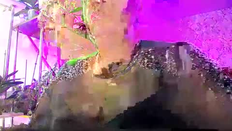 Lady Gloria online show from October 25, 2025, 7:38 am