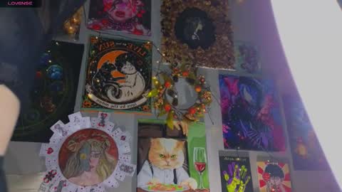 Snapshot of lady_lucky_love chatting on September 17, 2025, 5:14 pm KENDALL NATHANPVT IS OPEN online show from September 17, 2025, 5:14 pm