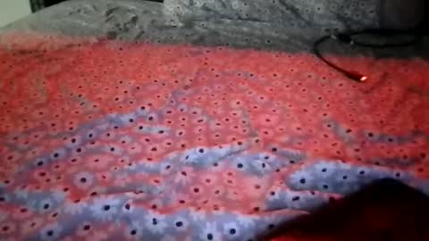 Stephanie online show from December 15, 2025, 1:54 am