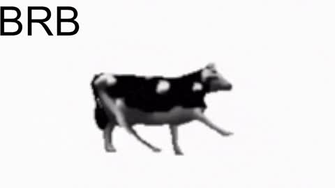 just call me Lana  and her security online show from January 22, 2025, 2:24 pm