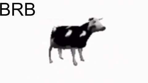 just call me Lana  and her security online show from January 25, 2025, 5:19 pm