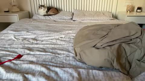 Lana online show from February 5, 2025, 2:16 pm