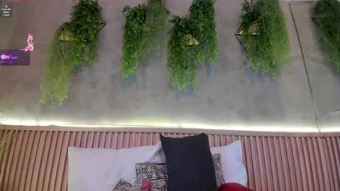 Snapshot of lana_lann chatting on February 14, 2025, 2:54 pm lana_lann online show from February 14, 2025, 2:54 pm