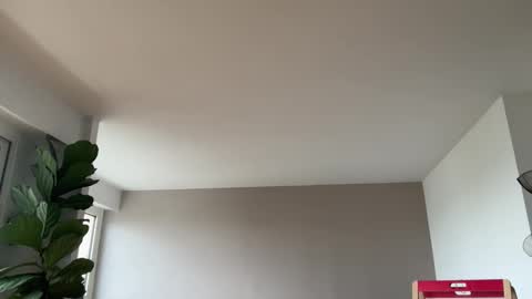 Lanimal online show from October 3, 2025, 8:00 am