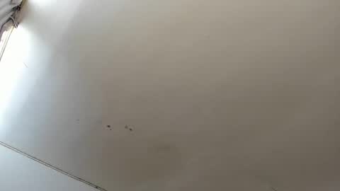 Snapshot of lara_jean23 chatting on October 23, 2025, 3:44 pm Lara online show from October 23, 2025, 3:44 pm