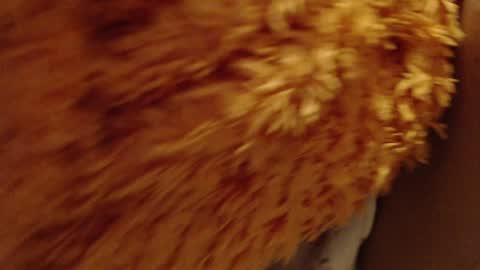 Snapshot of laralhotr chatting on December 26, 2024, 10:09 pm laralhotr online show from December 26, 2024, 10:09 pm