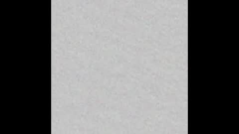 paula online show from February 4, 2025, 8:56 am