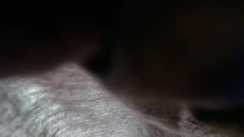 launeeee1 online show from February 3, 2026, 2:55 pm