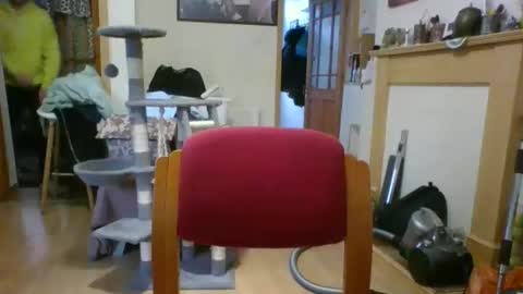 lauratedomm online show from March 8, 2026, 4:00 pm