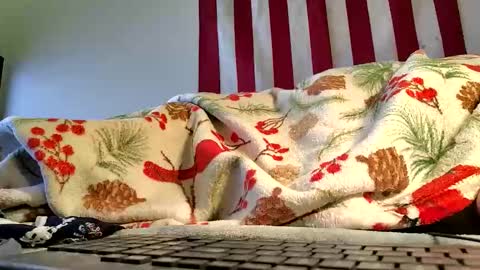 Snapshot of lawerenceingram46 chatting on October 19, 2025, 4:35 am lawerenceingram46 online show from October 19, 2025, 4:35 am