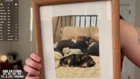 Snapshot of lazylittlething chatting on February 12, 2026, 7:42 pm Cece online show from February 12, 2026, 7:42 pm