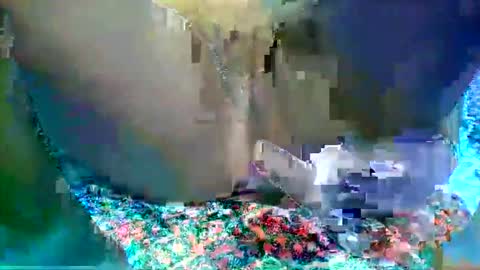 leilah_hope online show from February 16, 2026, 5:47 am