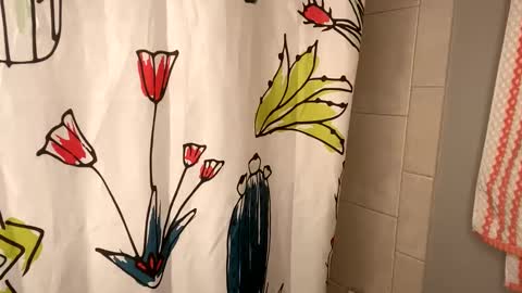 Snapshot of lelaskyee chatting on December 18, 2024, 11:30 pm Lela Skyee online show from December 18, 2024, 11:30 pm