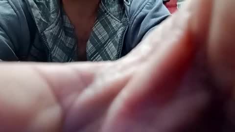 Snapshot of lelefiel chatting on December 28, 2024, 4:30 am Pequeno Urso online show from December 28, 2024, 4:30 am