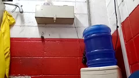 Snapshot of lelefiel chatting on January 17, 2025, 3:23 am Pequeno Urso online show from January 17, 2025, 3:23 am