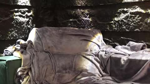 Leo  Diaz online show from November 30, 2025, 3:54 am