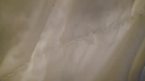 leojenks online show from February 11, 2026, 7:02 am