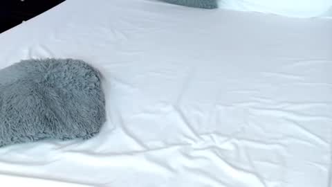 Snapshot of leonacutecam chatting on February 19, 2025, 11:04 pm LUCY online show from February 19, 2025, 11:04 pm