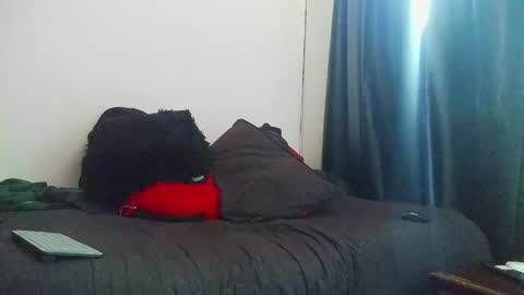 Torres online show from April 27, 2026, 12:36 pm