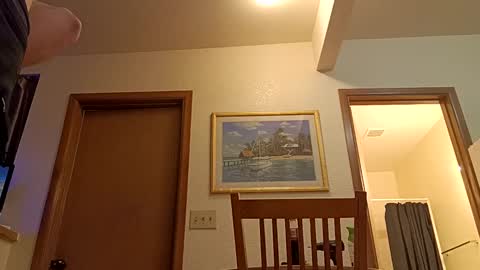 letsplay361 online show from March 8, 2025, 1:47 pm