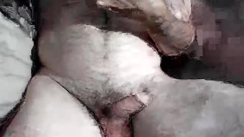 Snapshot of leweylewy chatting on July 1, 2026, 6:48 am leweylewy online show from July 1, 2026, 6:48 am